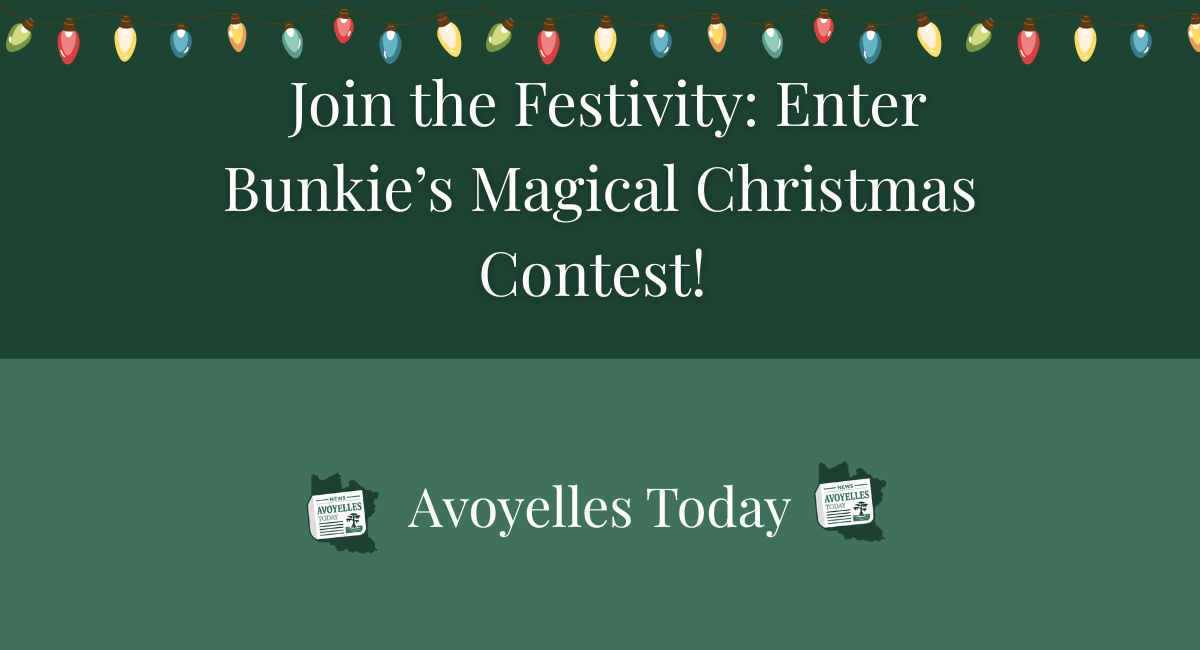 🎄 Join the Festivity: Enter Bunkie’s Magical Christmas Contest!