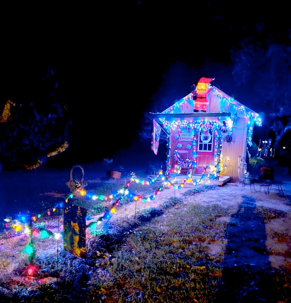 🎄 Marksville's Cat House Dazzles for Christmas! 🐱✨