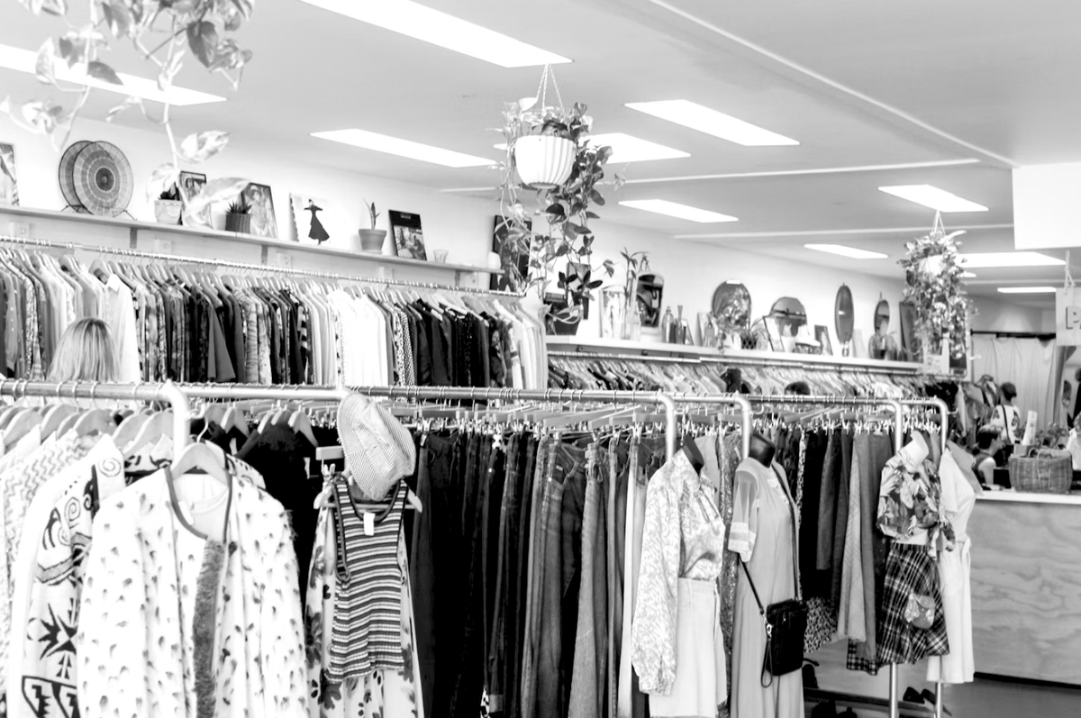 🛍️ Thrifting in Avoyelles: A Stylish Revolution! 🎉