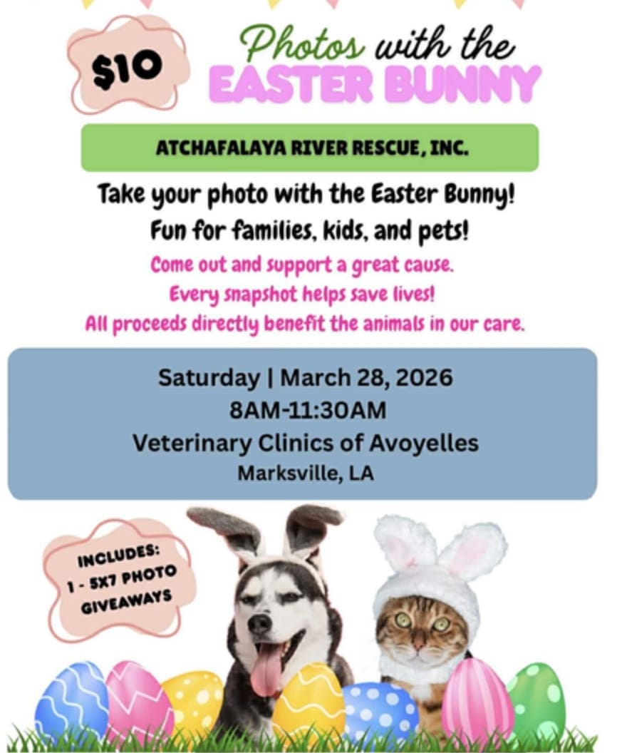 Local Animal Rescue Seeks Community Support, Hosts Easter Photo Event