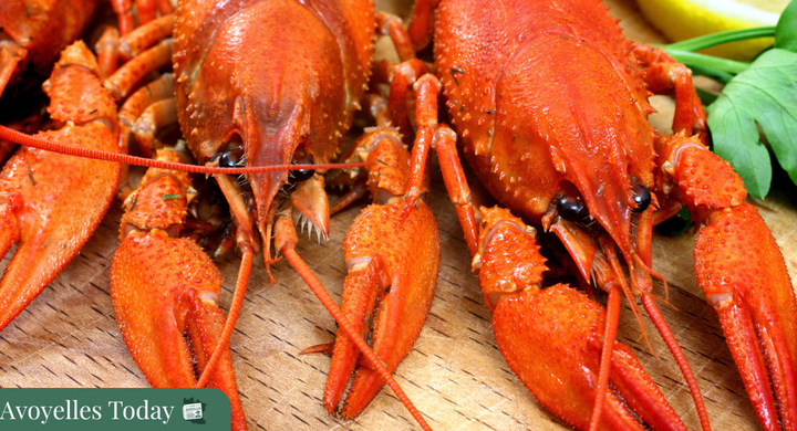 Immigrants peel crawfish, but cannot eat them. How sad.