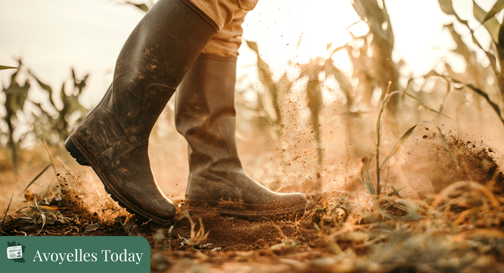 🚜 AAM President Highlights Farmers' Concerns in Holiday Update 🎄