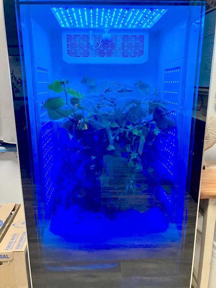 🌱 Marksville High FFA Innovates Agriculture with AI-Powered Grow Lab! 🚀