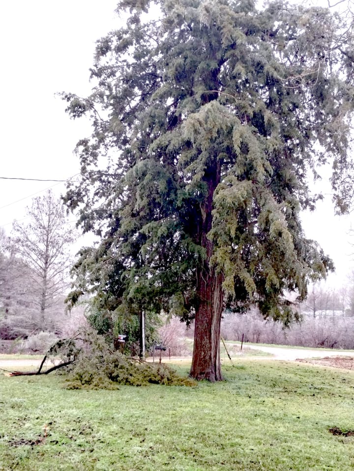 Wintry Weather Hits Avoyelles: Rain, Thunder, and Sleet!