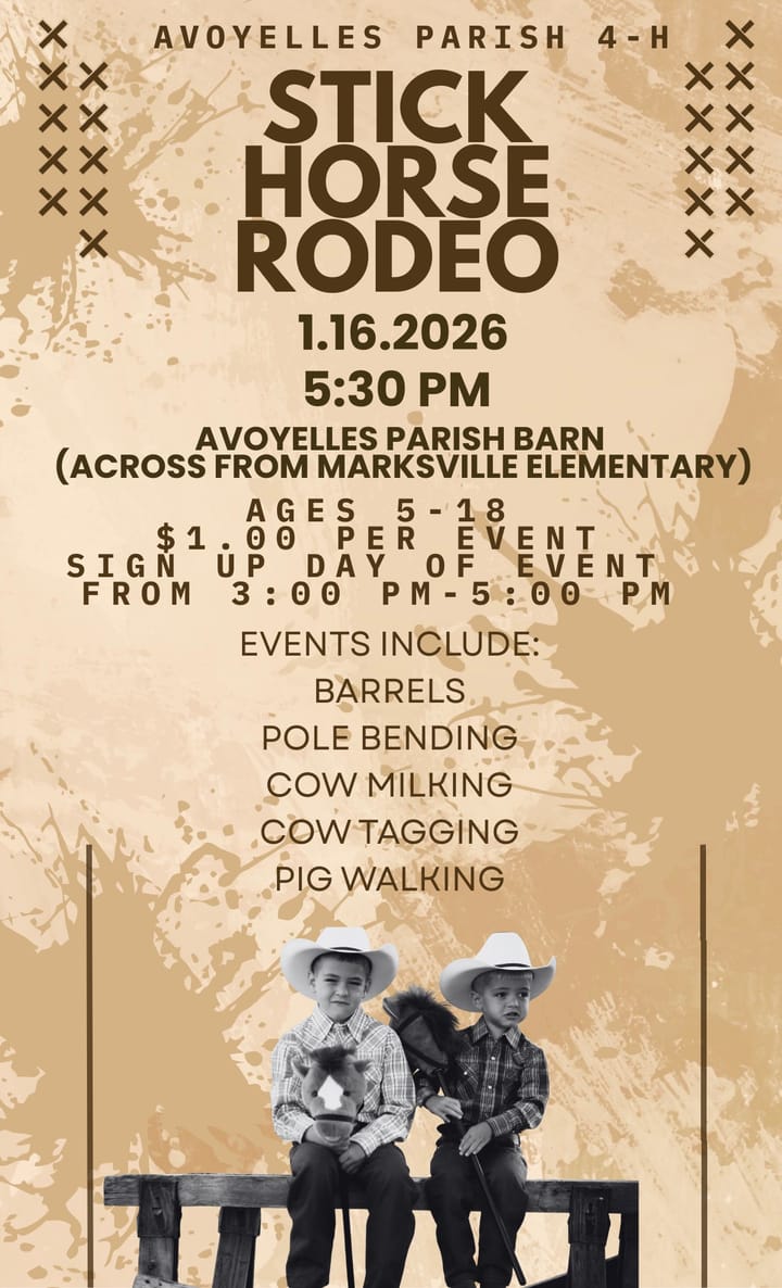 🐴 Join the Fun at the Stick Horse Rodeo!