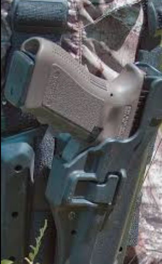 Handgun Carry Now Allowed on Louisiana WMAs! 🔫