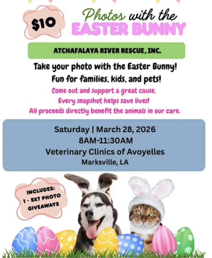 Local Animal Rescue Seeks Community Support, Hosts Easter Photo Event