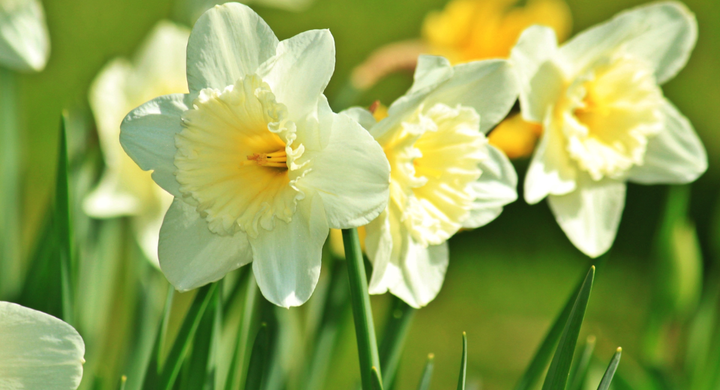 🌼 Get Ready for Spring with Upcoming Community Events!